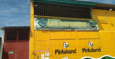 Metalúrgica los CAPACHOS