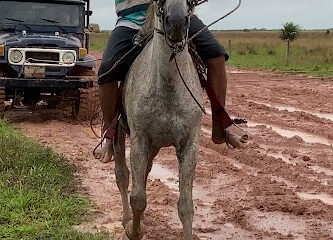 Ladrillera ALFARE